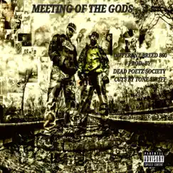 Meeting of the Gods (feat. Tone Spliff) Song Lyrics