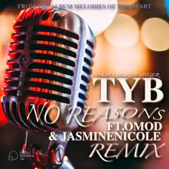 No Reasons (feat. JasmineNicole & Omod) [Remix] Song Lyrics