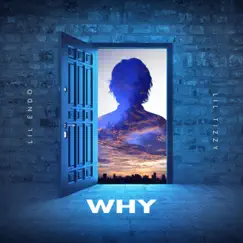 Why (feat. Lil Endo) - Single by Lil Tizzy album reviews, ratings, credits