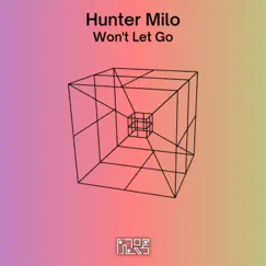 Won't Let Go - Single by JoeniNpcGamer album reviews, ratings, credits