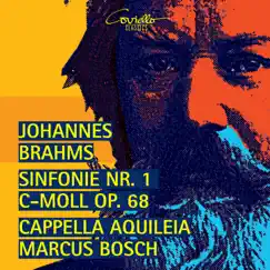 Brahms: Sinfonie Nr. 1 (Live) by Marcus Bosch & Cappella Aquileia album reviews, ratings, credits