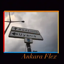 Ankara Flex - Single by Skowl Waynes album reviews, ratings, credits