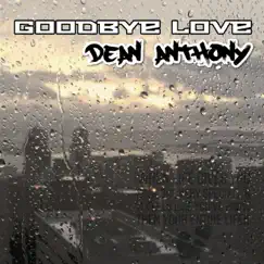 Goodbye Love (Acoustic Version) Song Lyrics