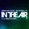 In the Air (Remixes) [feat. Angela McCluskey] album lyrics, reviews, download
