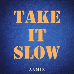 Take It Slow - Single by Aamir album reviews, ratings, credits