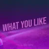 What You Like - Single album lyrics, reviews, download