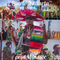 Puerto Vallarta (Me Encanta) - Single by Windsor Jones album reviews, ratings, credits