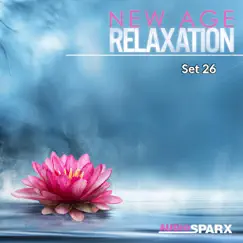 New Age Relaxation, Set 26 by Various Artists album reviews, ratings, credits