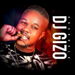 Nguwe Nguwe (feat. Mazet, Drip Gogo & DJ Obza) Song Lyrics