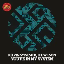 You're In My System (Original Radio Mix) Song Lyrics