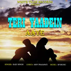 Teri Yaadein Aaye Song Lyrics