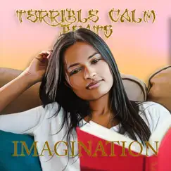 Imagination - Single by Terrible Calm album reviews, ratings, credits