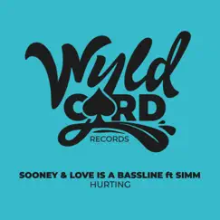 Hurting - Single by Sooney, Love Is A Bassline & Simm album reviews, ratings, credits