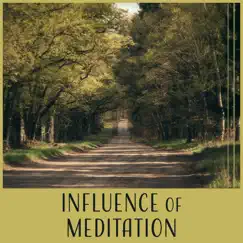 Influence of Meditation – Wistfulness Moments, Pure Crystal Mind State, New Age Music, Calm Nature Sound by Reiki Music Zone album reviews, ratings, credits