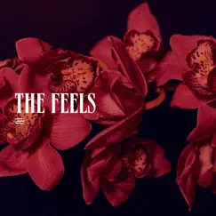 The Feels - Single by DooPiano album reviews, ratings, credits