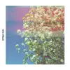 Spring Sun - Single album lyrics, reviews, download