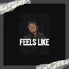 Feels Like (feat. MTG Trill (Money Team Gangsta)) - Single album lyrics, reviews, download