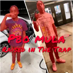 Raised In the Trap by PBO Mula album reviews, ratings, credits