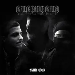Gang Gang Gang (feat. Mehrad Hidden & DFROMTHE7) Song Lyrics