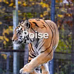 Poise Song Lyrics