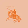 Knight Like You (feat. January Eyler) [demo] - Single album lyrics, reviews, download