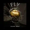 Fly - Single album lyrics, reviews, download