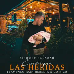 Cicatrizan las Heridas Song Lyrics