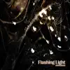Flashing Light - Hip Hop Instrumental (feat. Fidel Ten & Тимур Басов) song lyrics