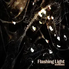 Flashing Light - Hip Hop Instrumental (feat. Fidel Ten & Тимур Басов) Song Lyrics
