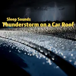 Rain Sounds on Car Window - Heavy Drops Above Song Lyrics