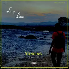 Lay Low - Single by Yunging22 album reviews, ratings, credits