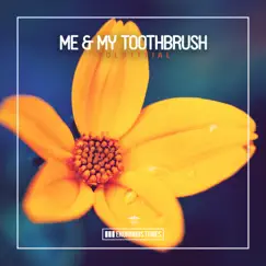 Solstitial - Single by Me & My Toothbrush album reviews, ratings, credits