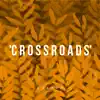 Crossroads (feat. Mark Asari) [Simon Field Remix] - Single album lyrics, reviews, download