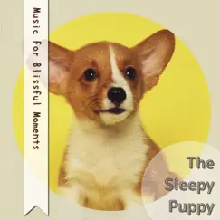 Music For Blissful Moments by The Sleepy Puppy album reviews, ratings, credits