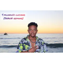 Luciano (Shaun Remake) - Single by T.Mlondo11 album reviews, ratings, credits