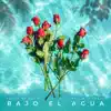 Bajo el Agua - Single album lyrics, reviews, download