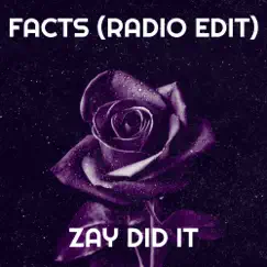 Facts (Radio Edit) - Single by Zay Did It album reviews, ratings, credits