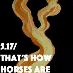 5.17 / That's How Horses Are - Single by Thom Yorke album reviews, ratings, credits