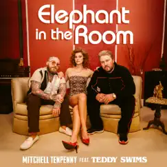 Elephant in the Room (feat. Teddy Swims) - Single by Mitchell Tenpenny album reviews, ratings, credits