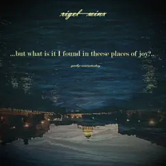 But What Is It I Found in Theese Places of joy?.. Goodbye Saint Petersburg Song Lyrics