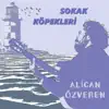 Sokak Köpekleri - Single album lyrics, reviews, download