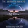 Nebula (feat. Kaoru Sato) - Single album lyrics, reviews, download