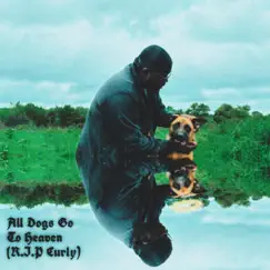 All Dogs Go to Heaven (R.I.P Curly) - Single by Tellemtee album reviews, ratings, credits