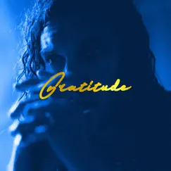 Gratitude (Radio Version) Song Lyrics