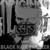 Black Hair Panther - Single album lyrics, reviews, download