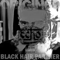 Black Hair Panther - Single by Echo album reviews, ratings, credits