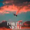 For the Night - Single album lyrics, reviews, download