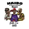 Haibo (feat. S1mba & Reason) [Remix] - Single album lyrics, reviews, download