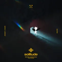 Solitude - Slowed + Reverb Song Lyrics