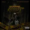 Dark Knight - Single album lyrics, reviews, download